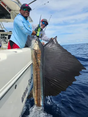 海角论坛 深海钓获的巨型旗鱼